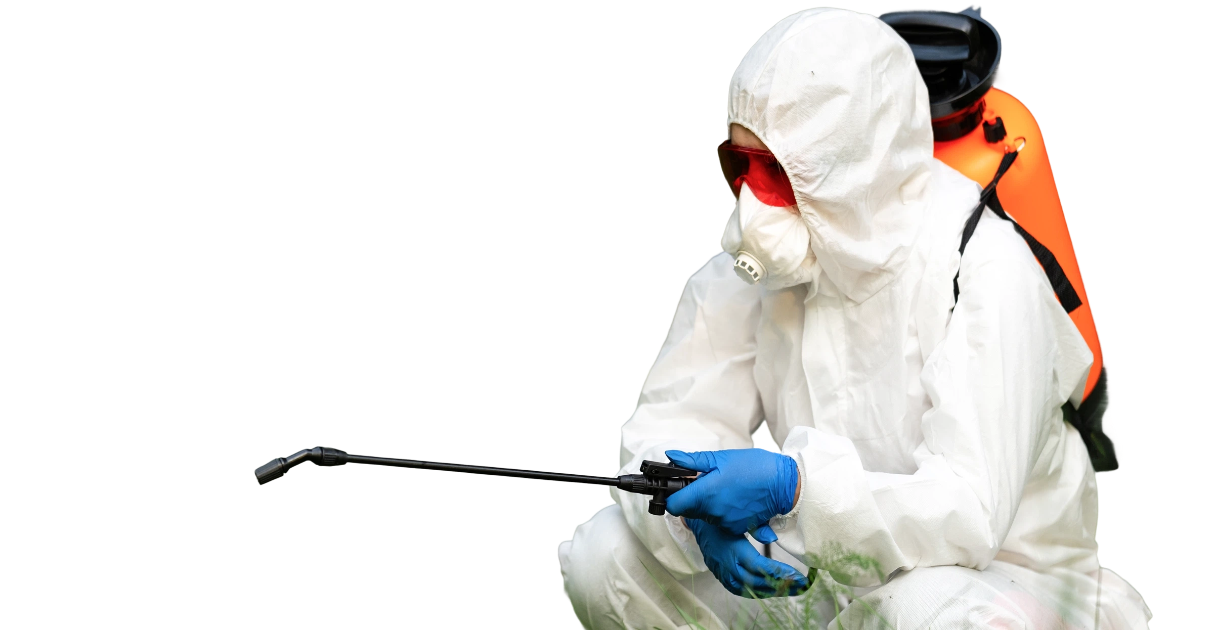 Pest control service