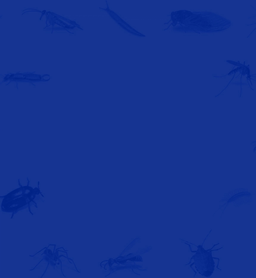 background solution BioX mobile