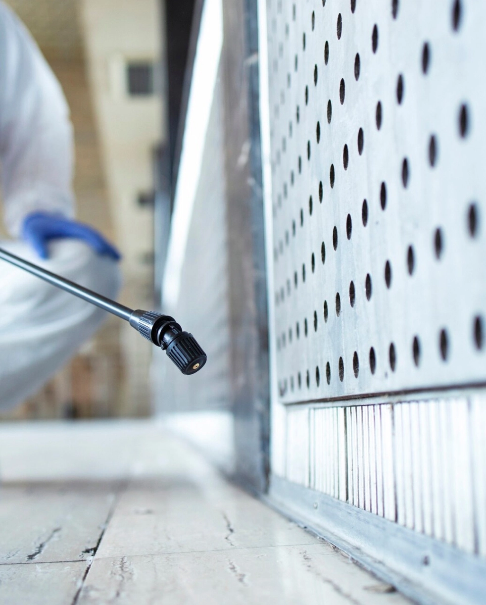 We design customized pest control solutions for your business