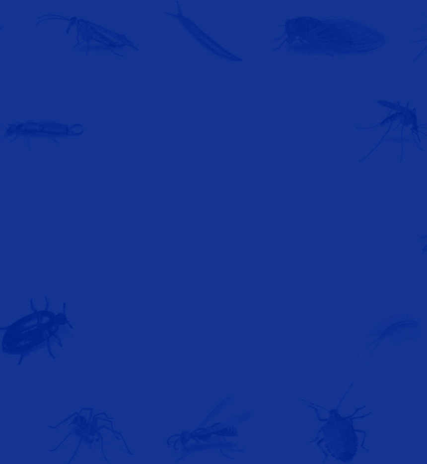 background solution BioX mobile