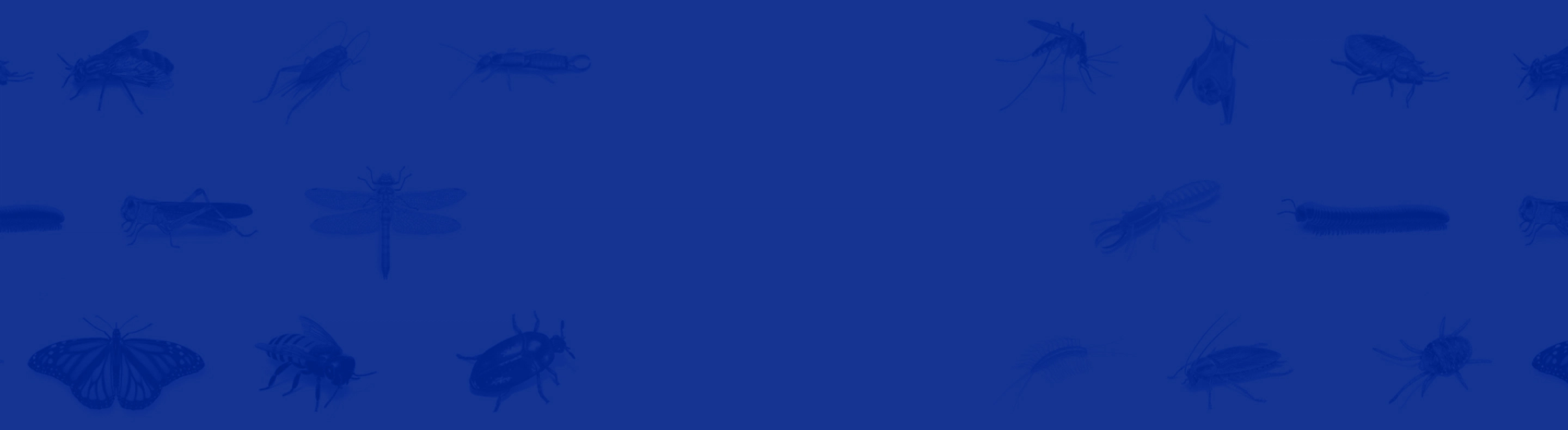 background solution BioX