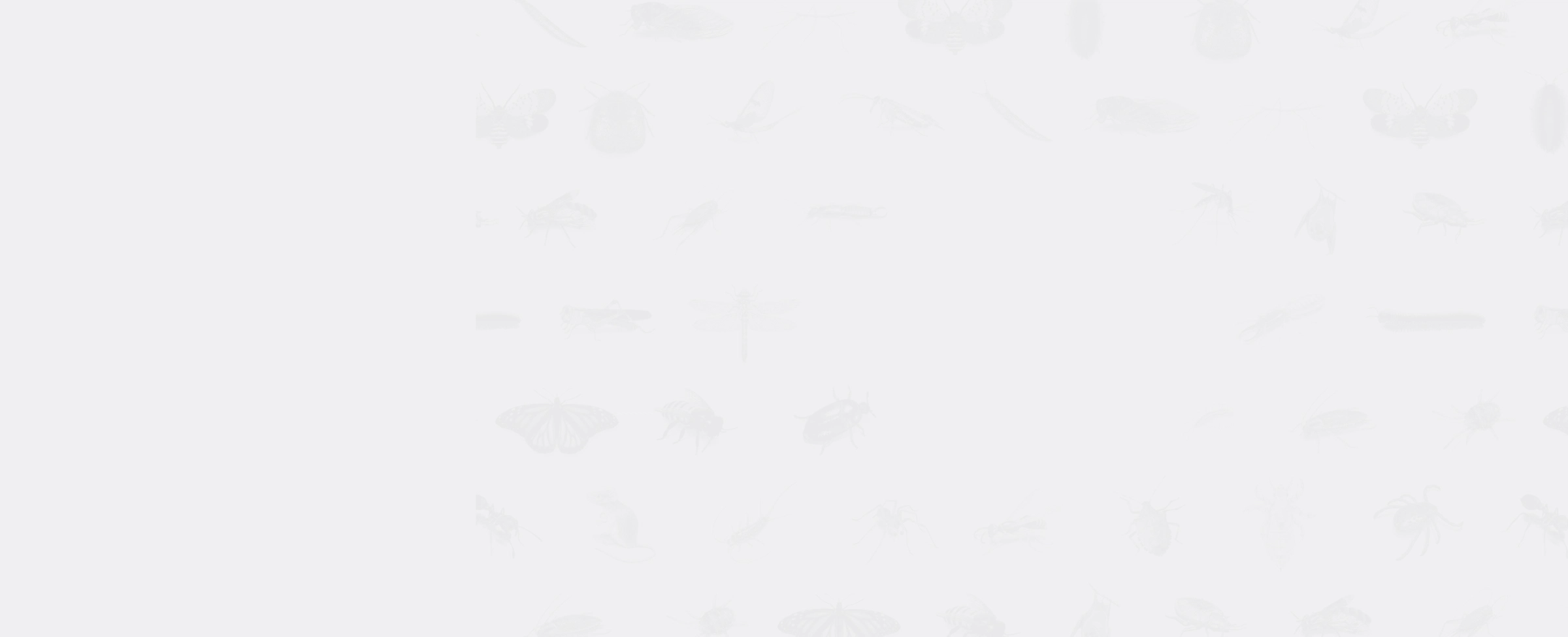 background image journey