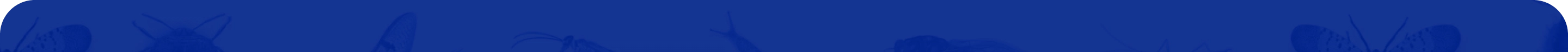 background shape