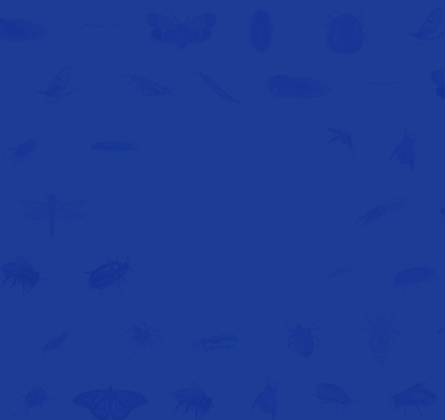 background service BioX
