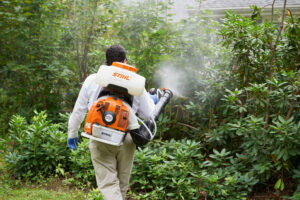 Dịch vụ phun thuốc diệt muỗi cho nhà ở, trường học, cơ quan, doanh nghiệp